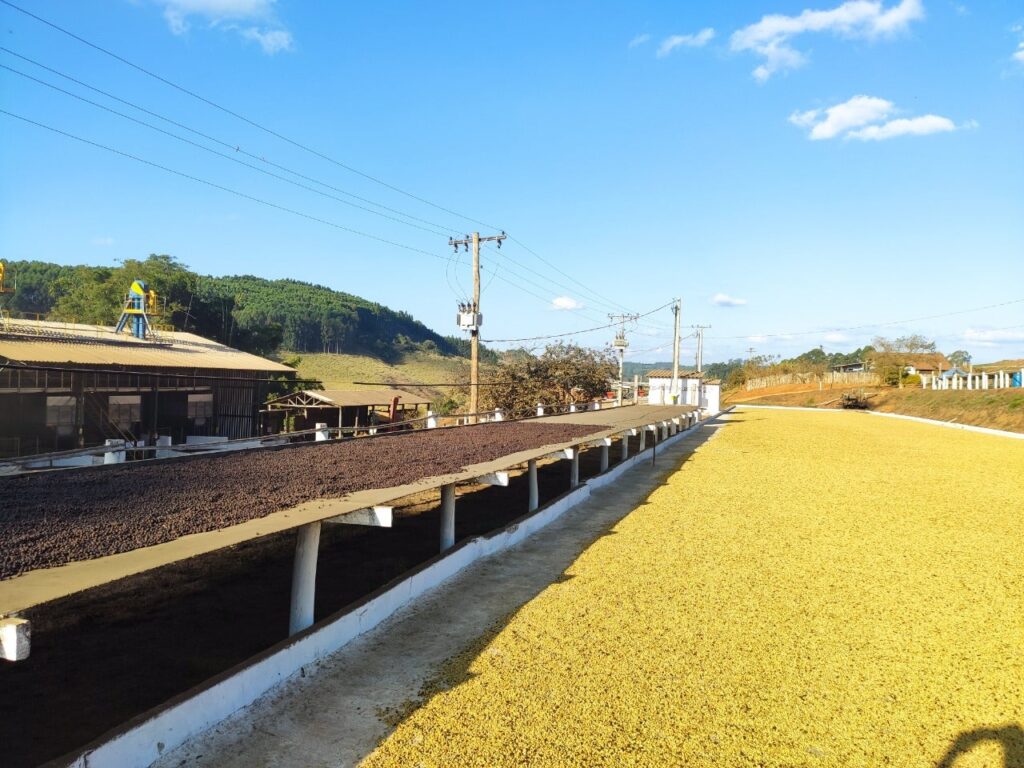 Brazil - Fazenda Salto