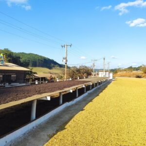 Brazil - Fazenda Salto - Image 6