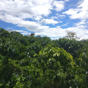 Colombia - El Para - Image 9