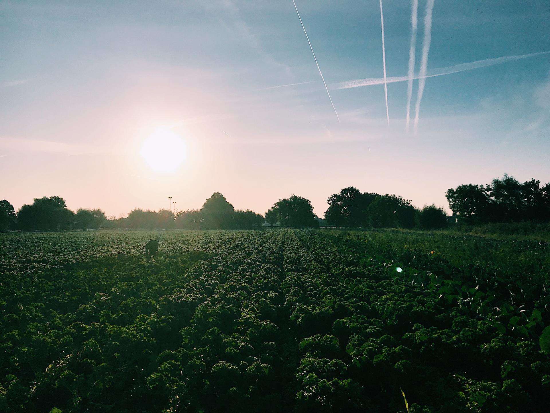 Op 17 sept staan we bij bioboer busschots