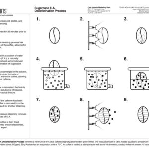 Uitleg van het declinatie proces